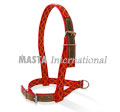 Halter for bull