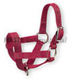 Nylon Goat Halter