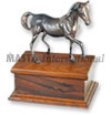 Horse Model Box